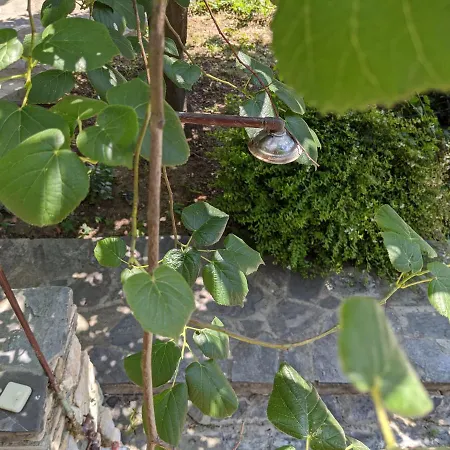 Daria'S Home Agioi Saranta Zewnętrze zdjęcie