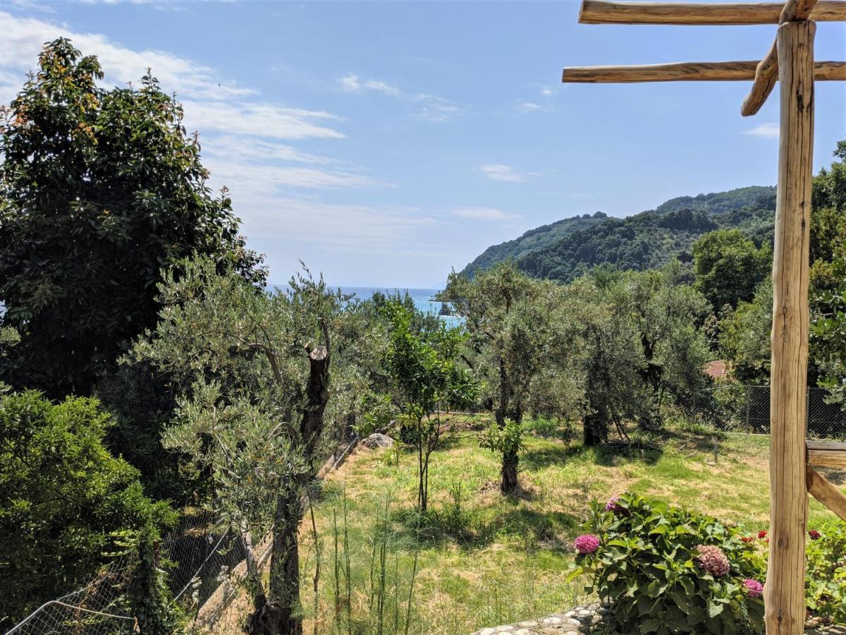 Daria's Holiday home Agioi Saranta