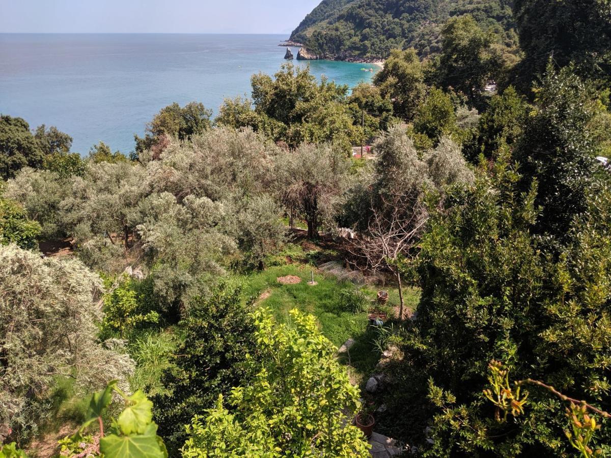 Holiday home Daria's