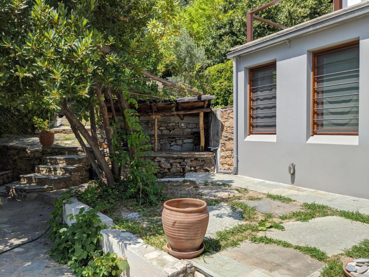 Daria's Vakantiehuis