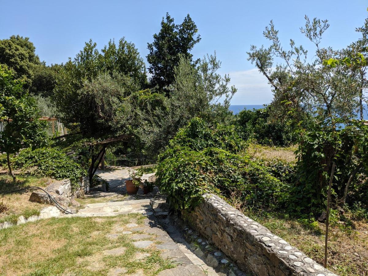 Holiday home Daria's Agioi Saranta