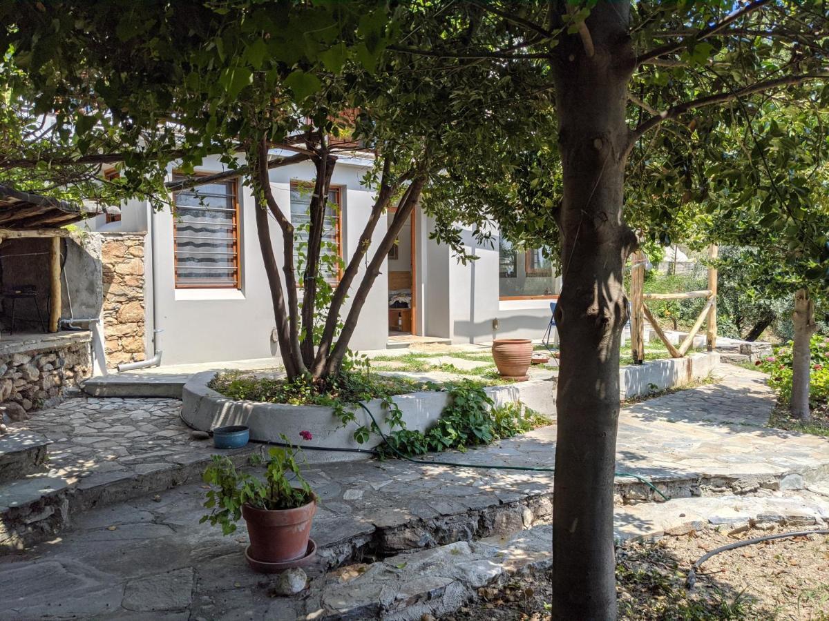 Holiday home Daria's