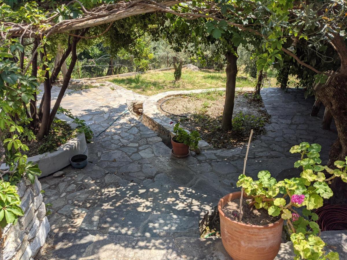 Daria's Vakantiehuis