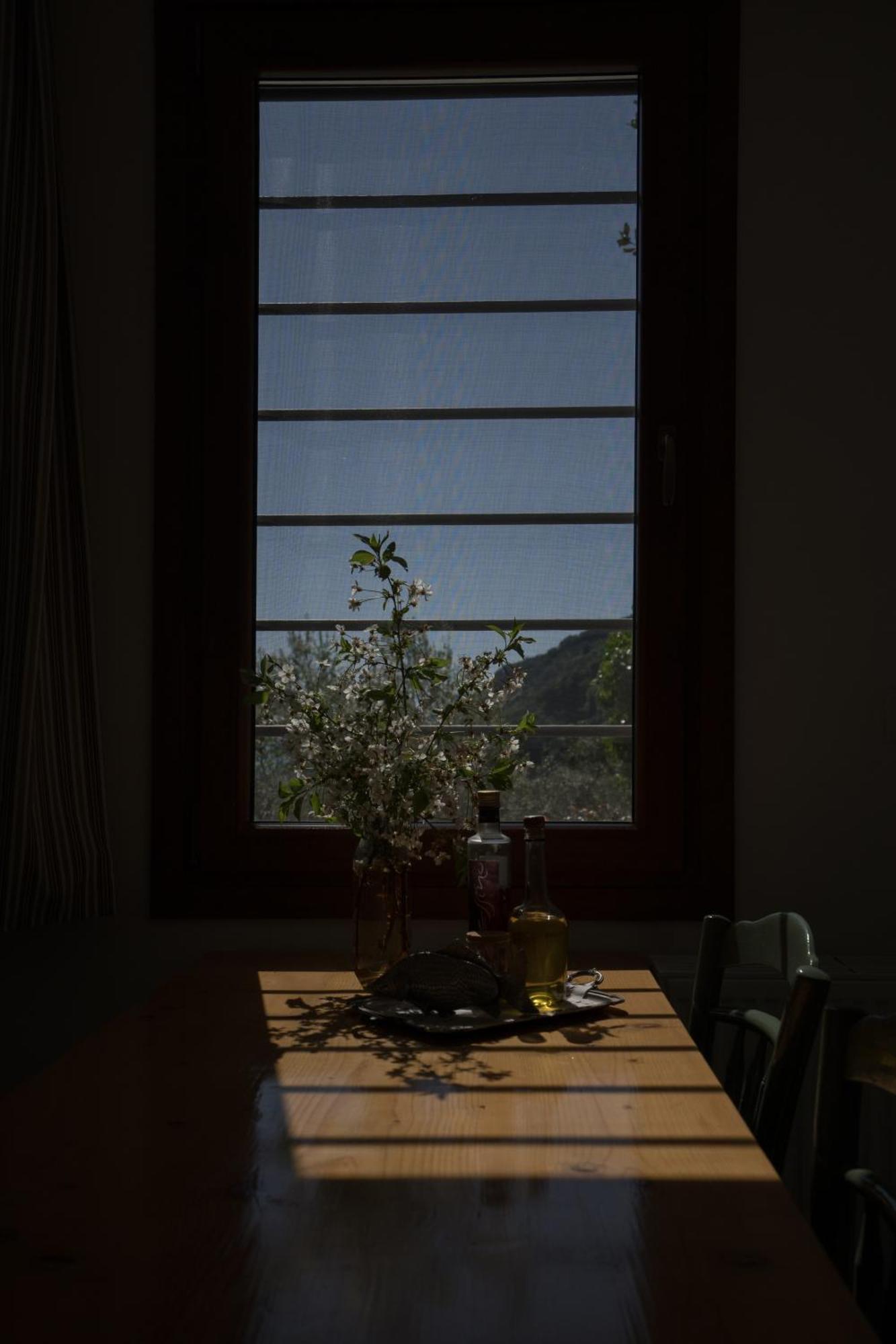 Daria's Vakantiehuis *